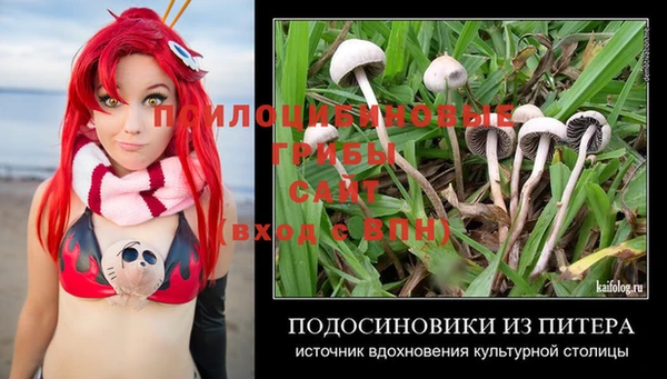 спиды Алексеевка
