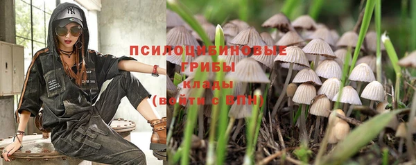 спиды Алексеевка