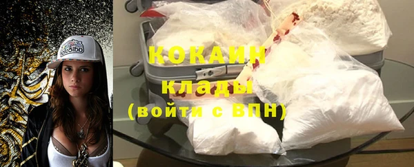 стафф Алексин