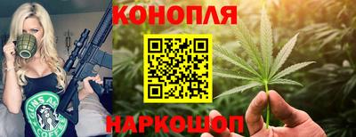 гидропоника Малгобек