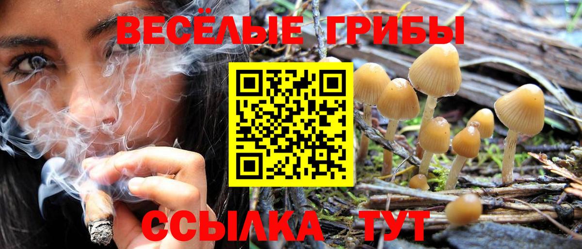 Псилоцибиновые грибы мухоморы  Галлюциногенные грибы ЛСД  Вход с VPN  Чебаркуль 