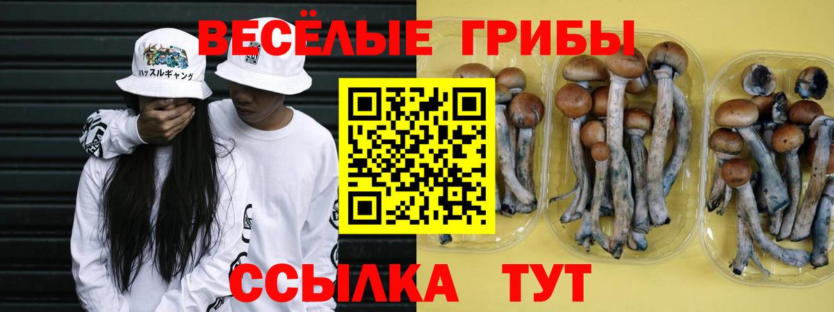 Галлюциногенные грибы Magic Shrooms Чебаркуль